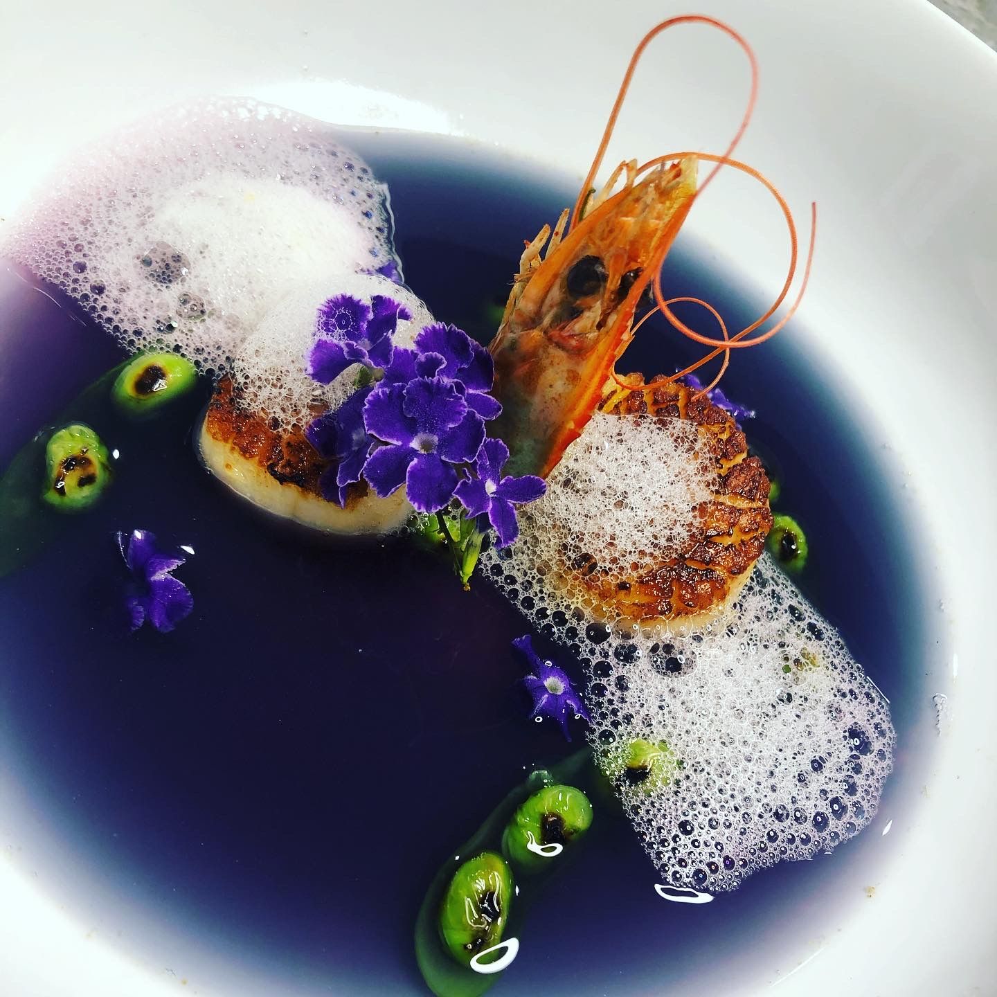 Purple Cabbage Consommé